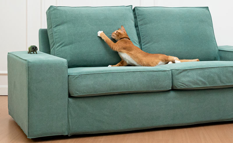 pet proof leather sofa